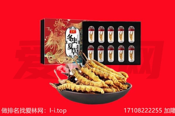 石嘴山平罗县回收虫草.jpg